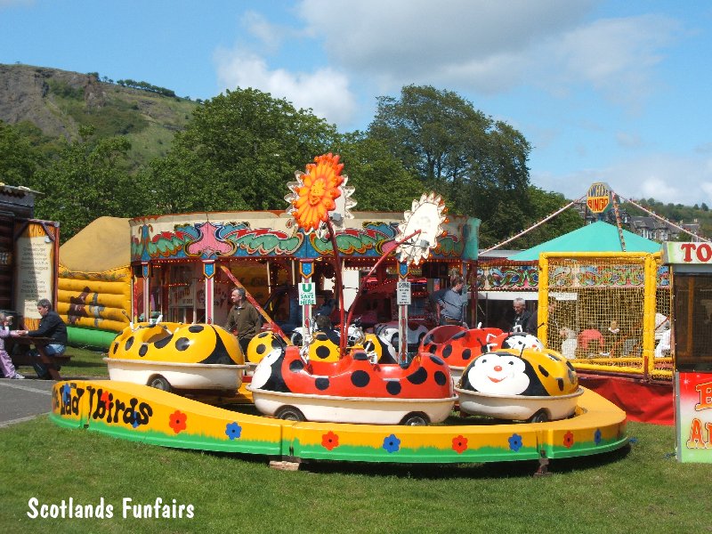 Stanley Gambles Ladybirds