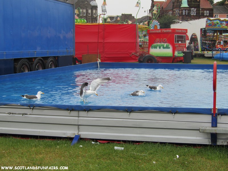 Ervin Gambles Bumper Boats