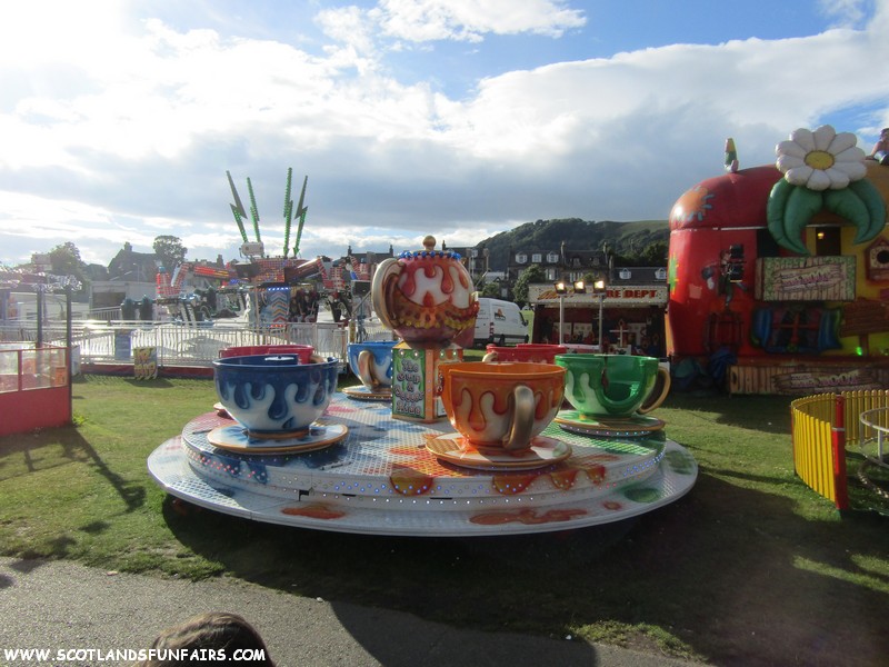 Philip Paris's Teacups
