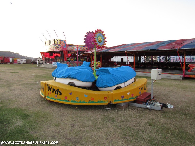 Marrissa Smiths Ladybirds