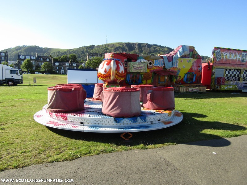 Philip Paris's Teacups