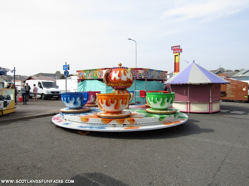 Philip Paris's Teacups, 2019
