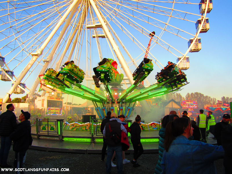 Caylon Mulhearns Jumper