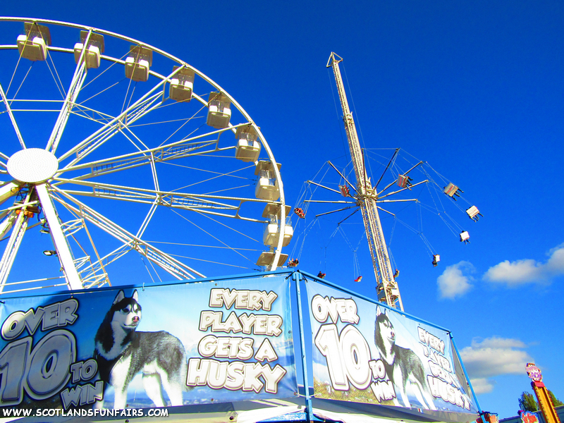 David Wallis's Gallopers