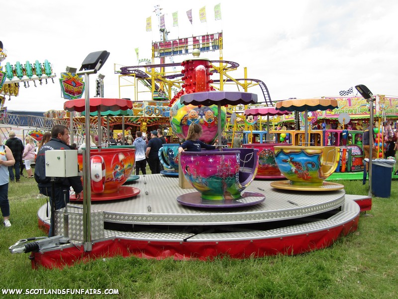 Billy Crows Teacups
