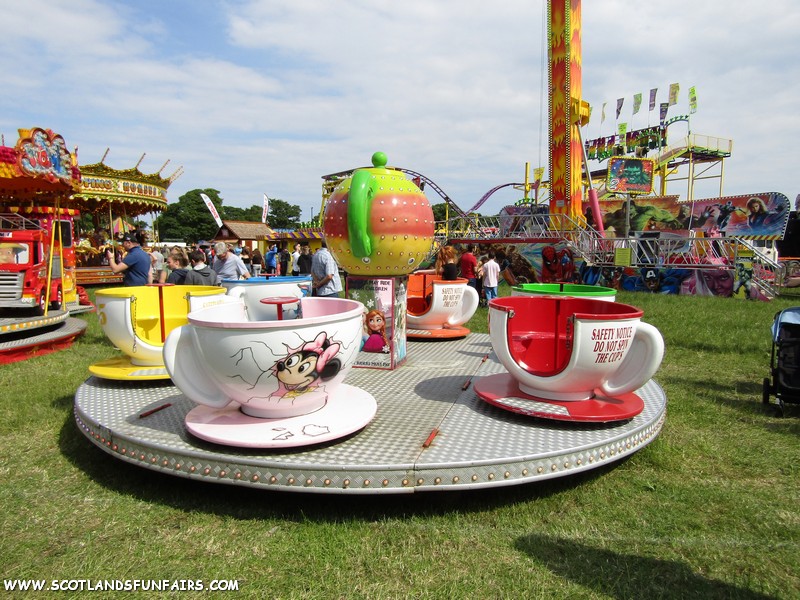 John Rennie Stevens Teacups
