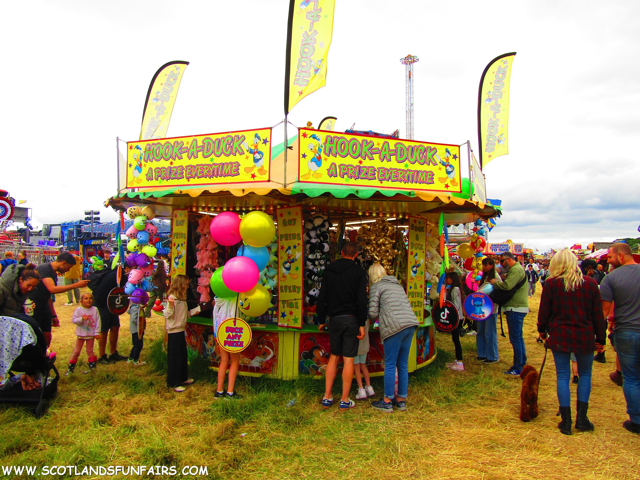 Christopher Twilleys Hoopla