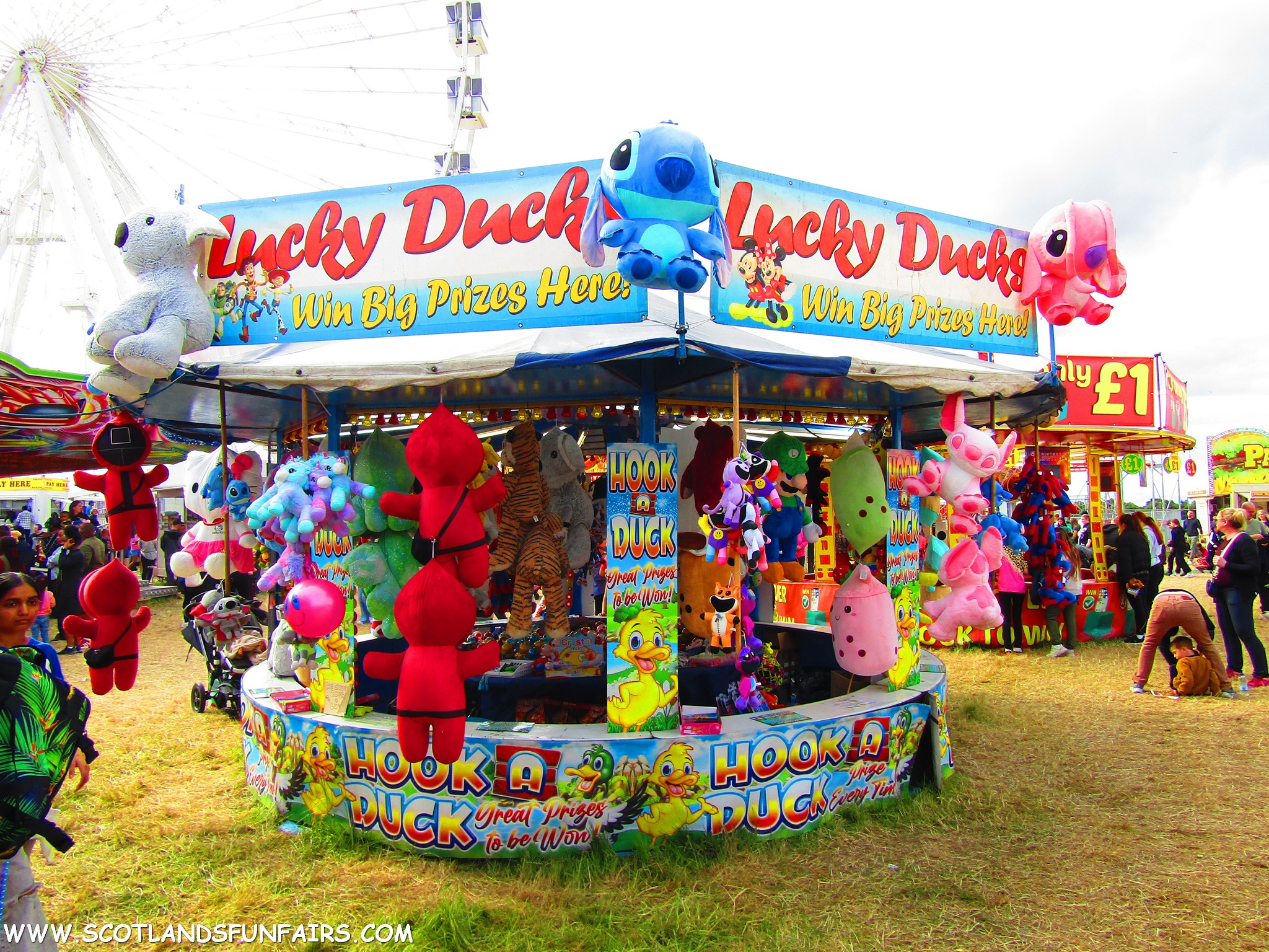 Darren DeKonings Hoopla