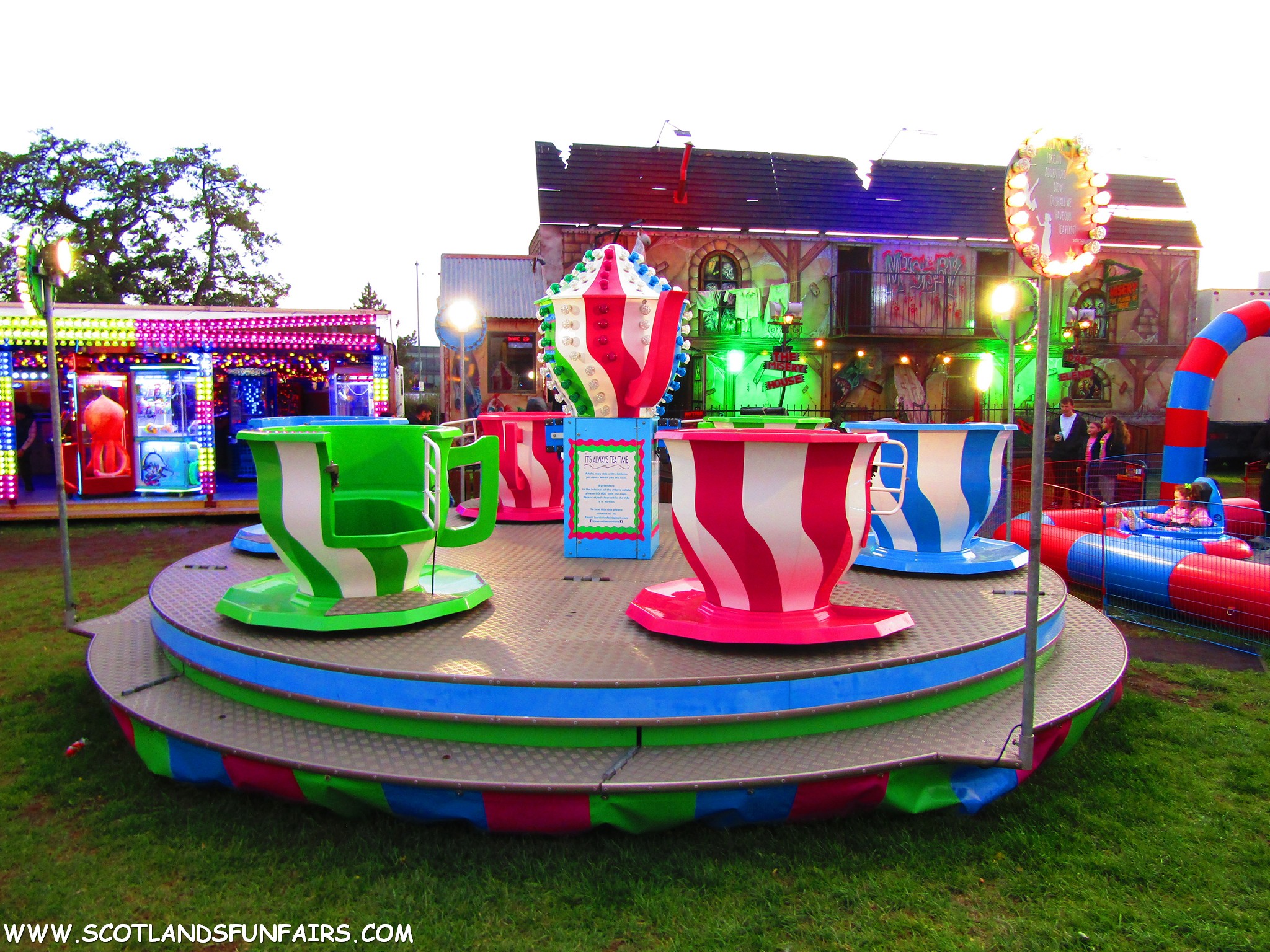 Unknown Teacups