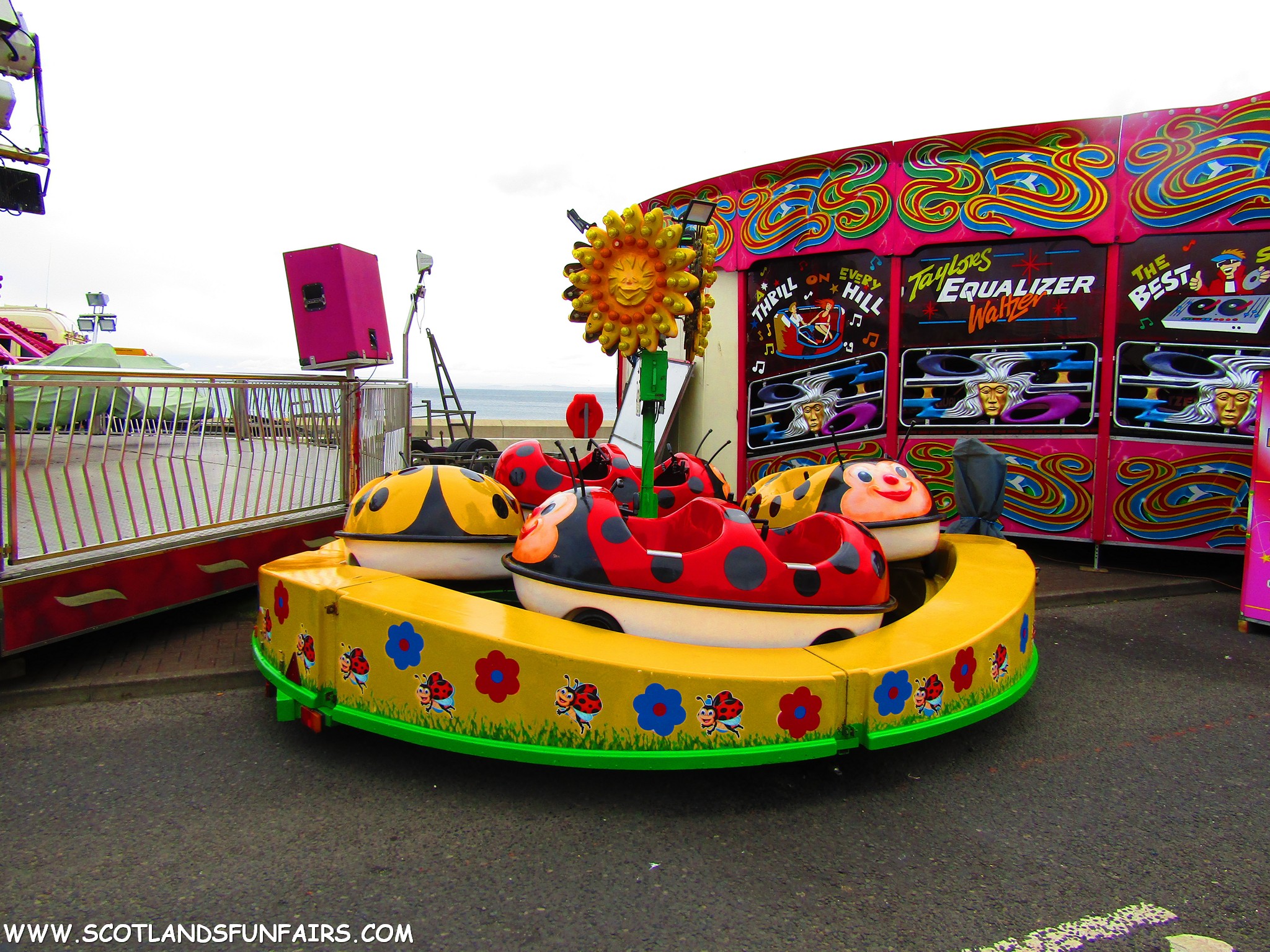 Allan Sharps Ladybirds