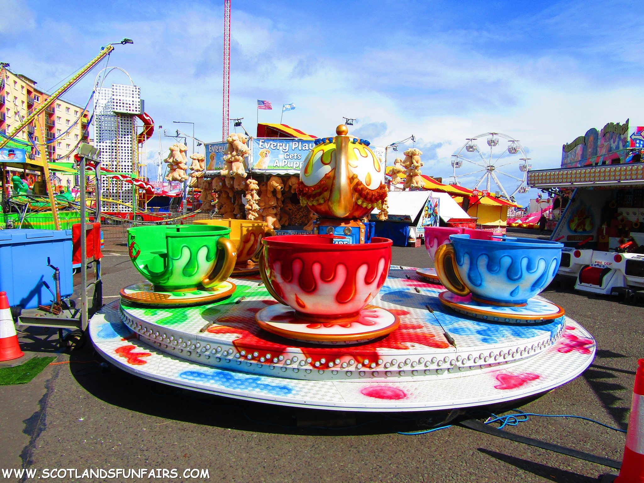 Phillip Paris's Teacups