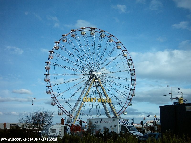 M&D Taylors Giant Wheel