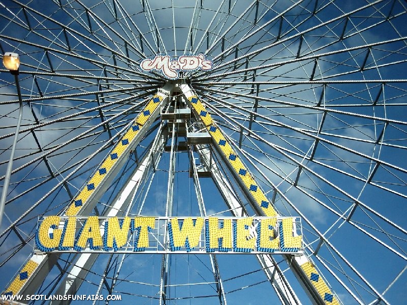 M&D Taylors Giant Wheel