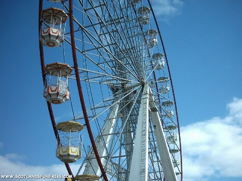 M&D Taylors Giant Wheel