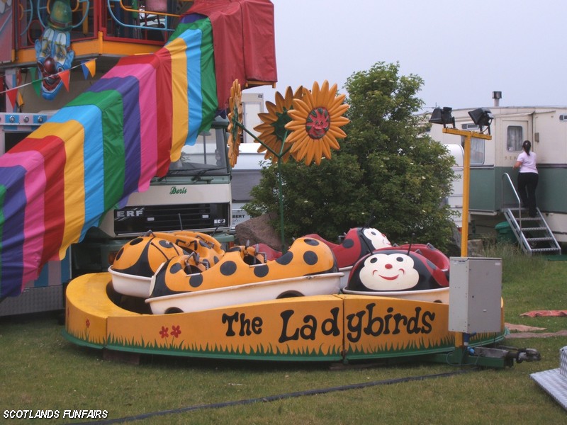 David Mitchells Ladybirds