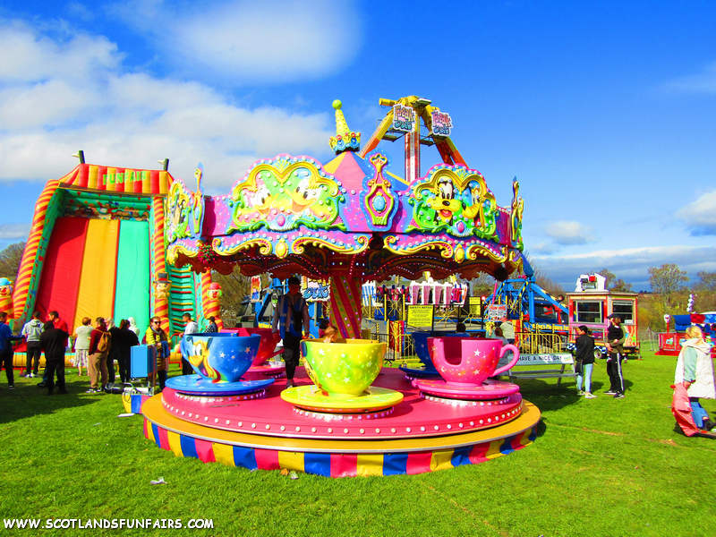Hornes Teacups