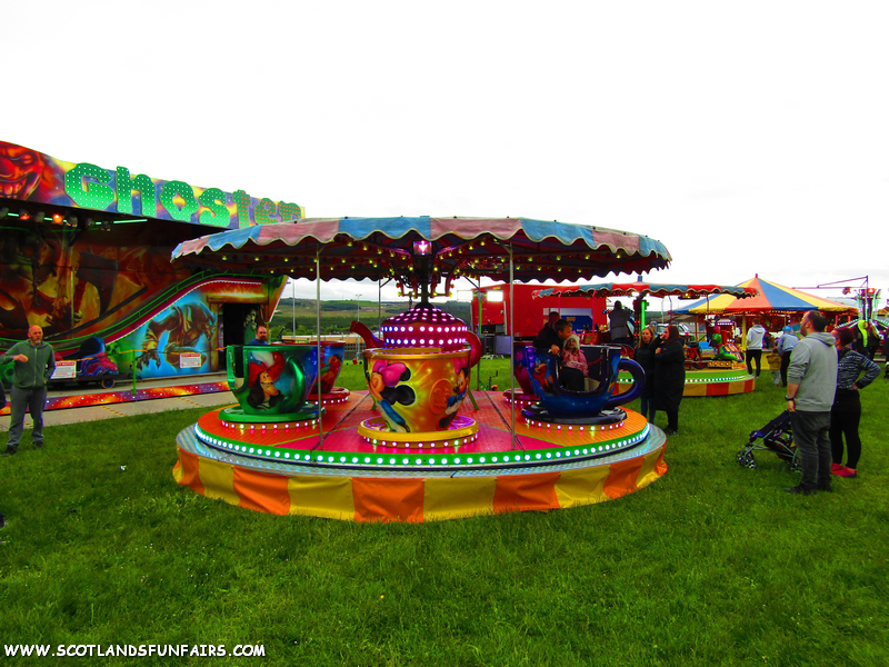 Jared Kings Teacups