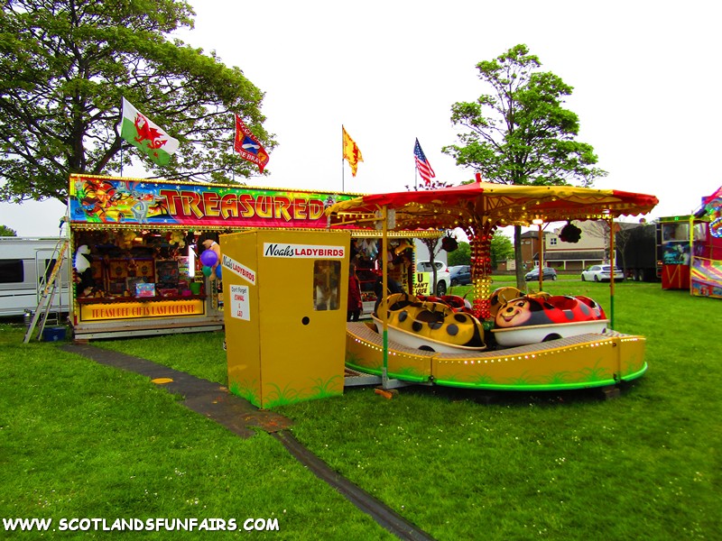 Kevin Carters Ladybirds & Stall
