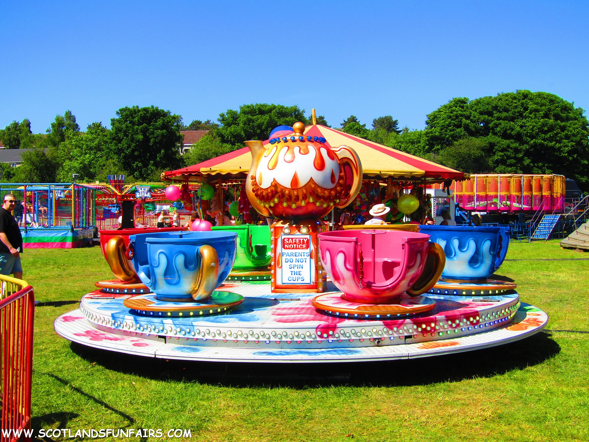 Phillip Paris's Teacups