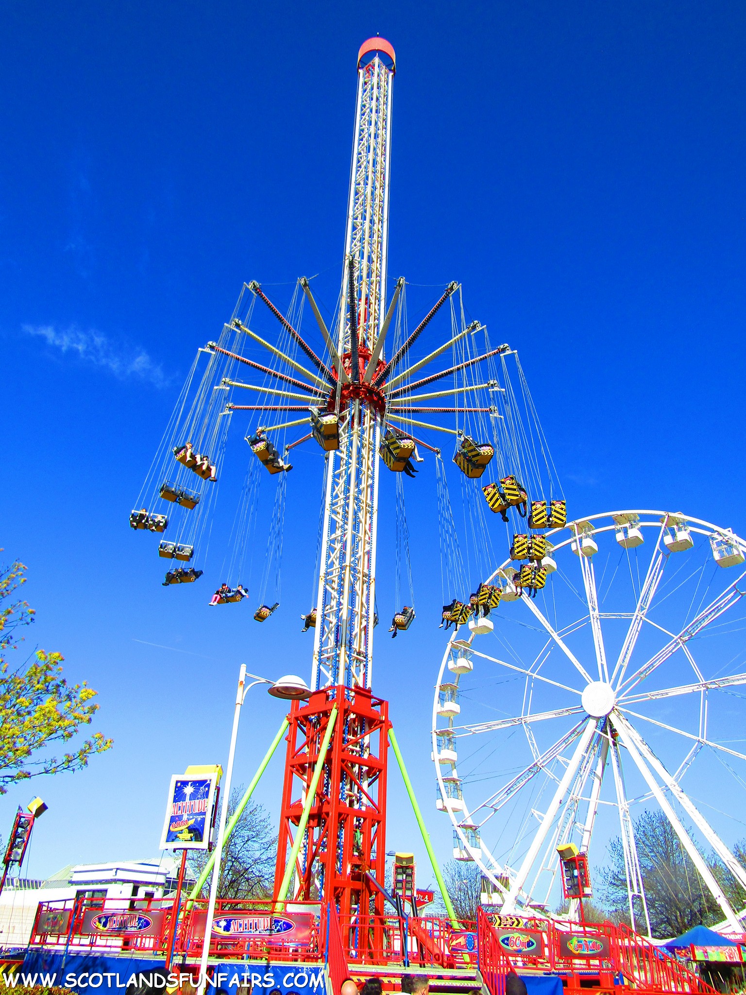 Thomsons Starflyer