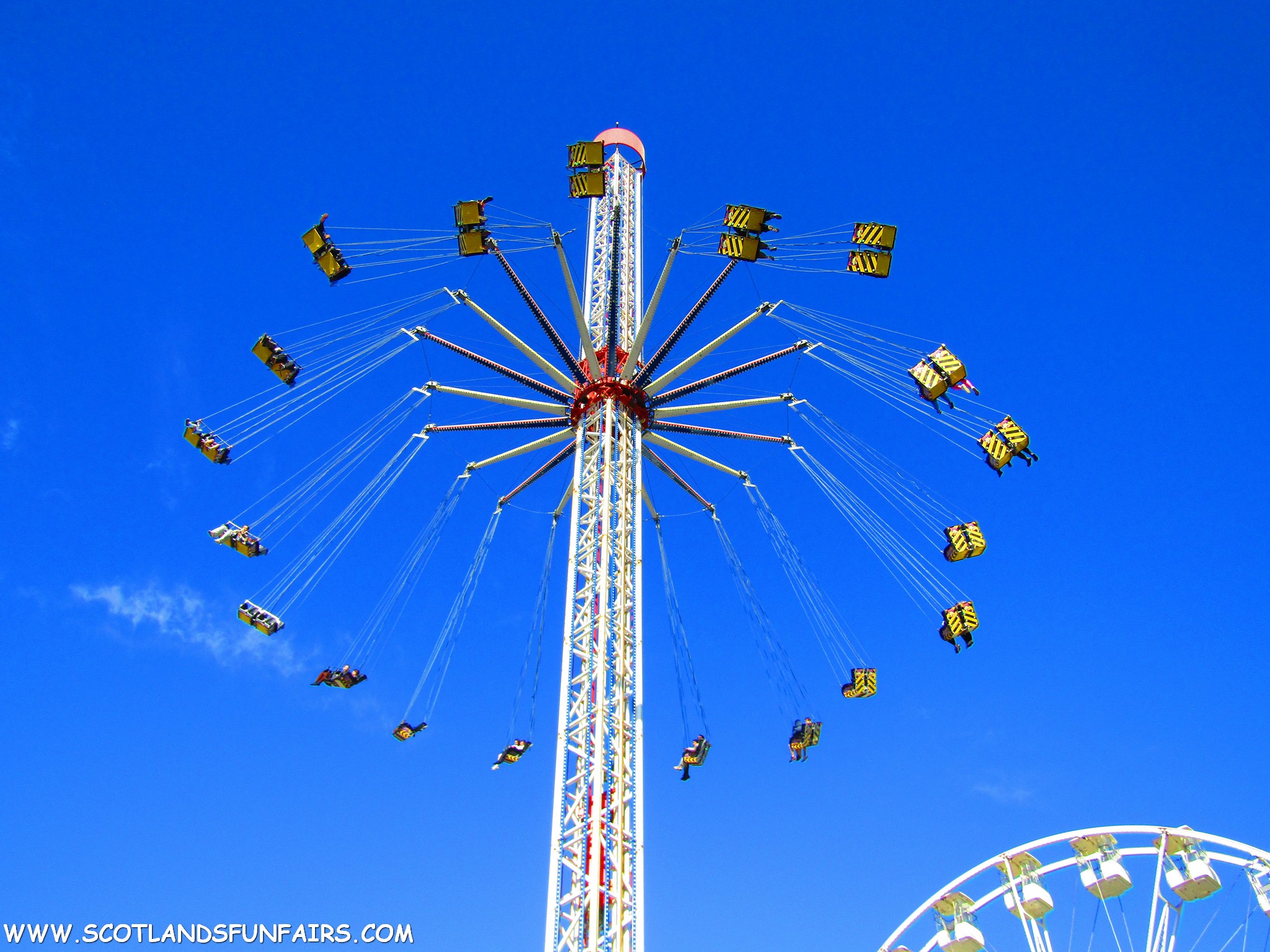 Thomsons Starflyer