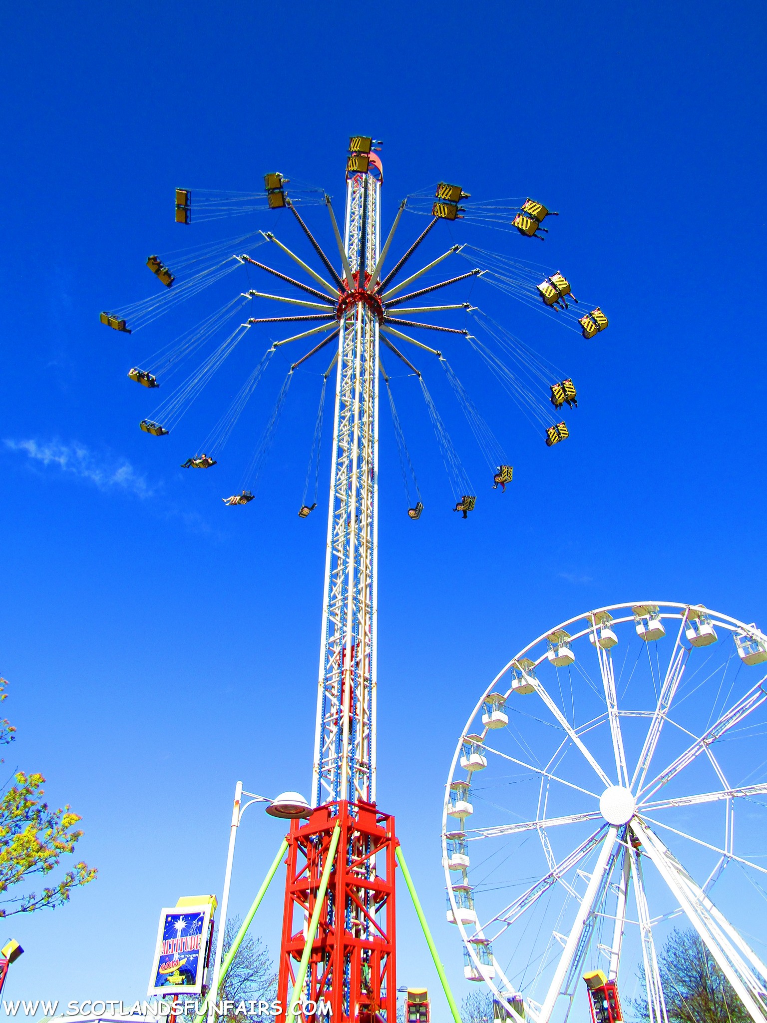 Thomsons Starflyer