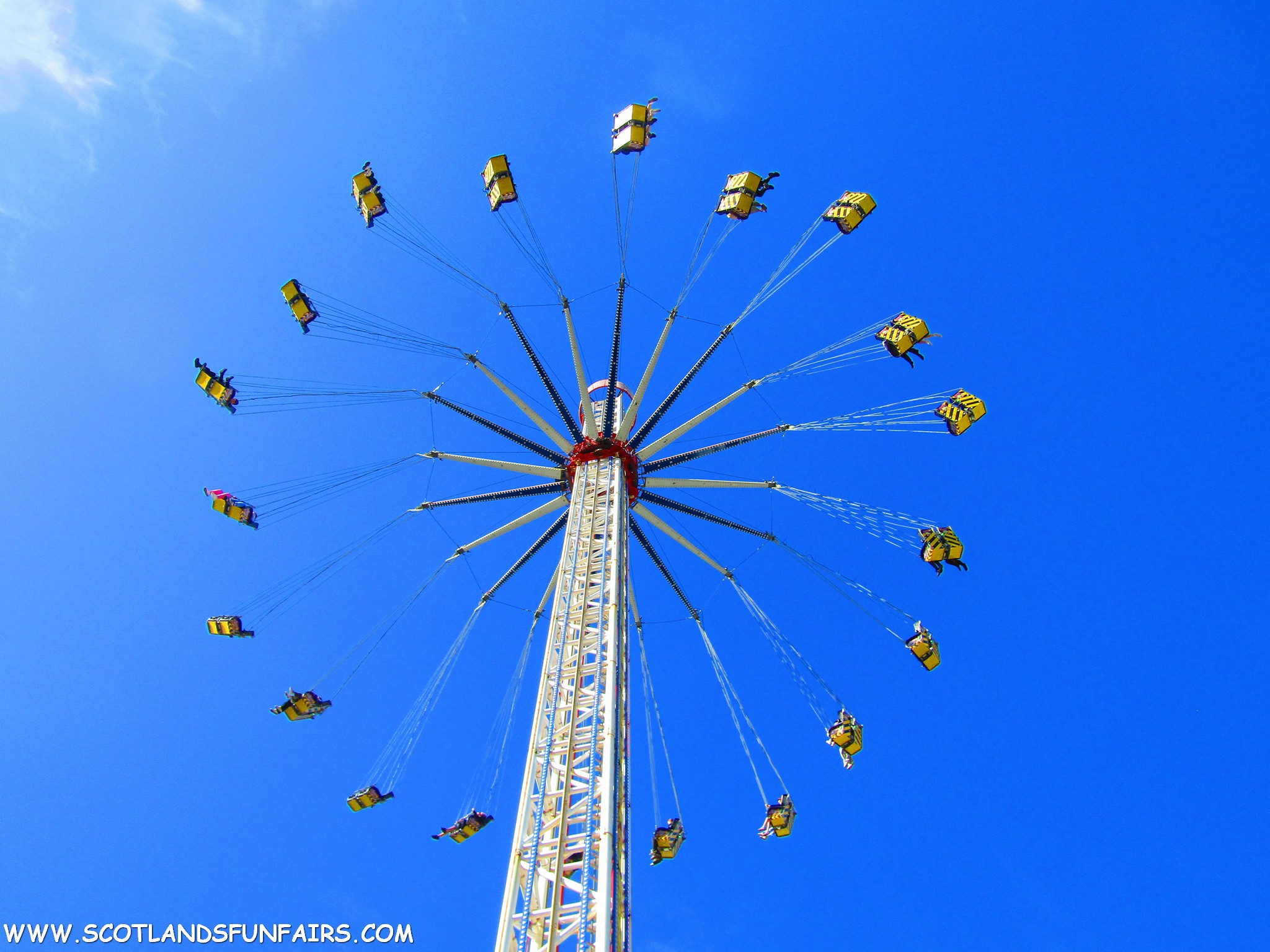 Thomsons Starflyer