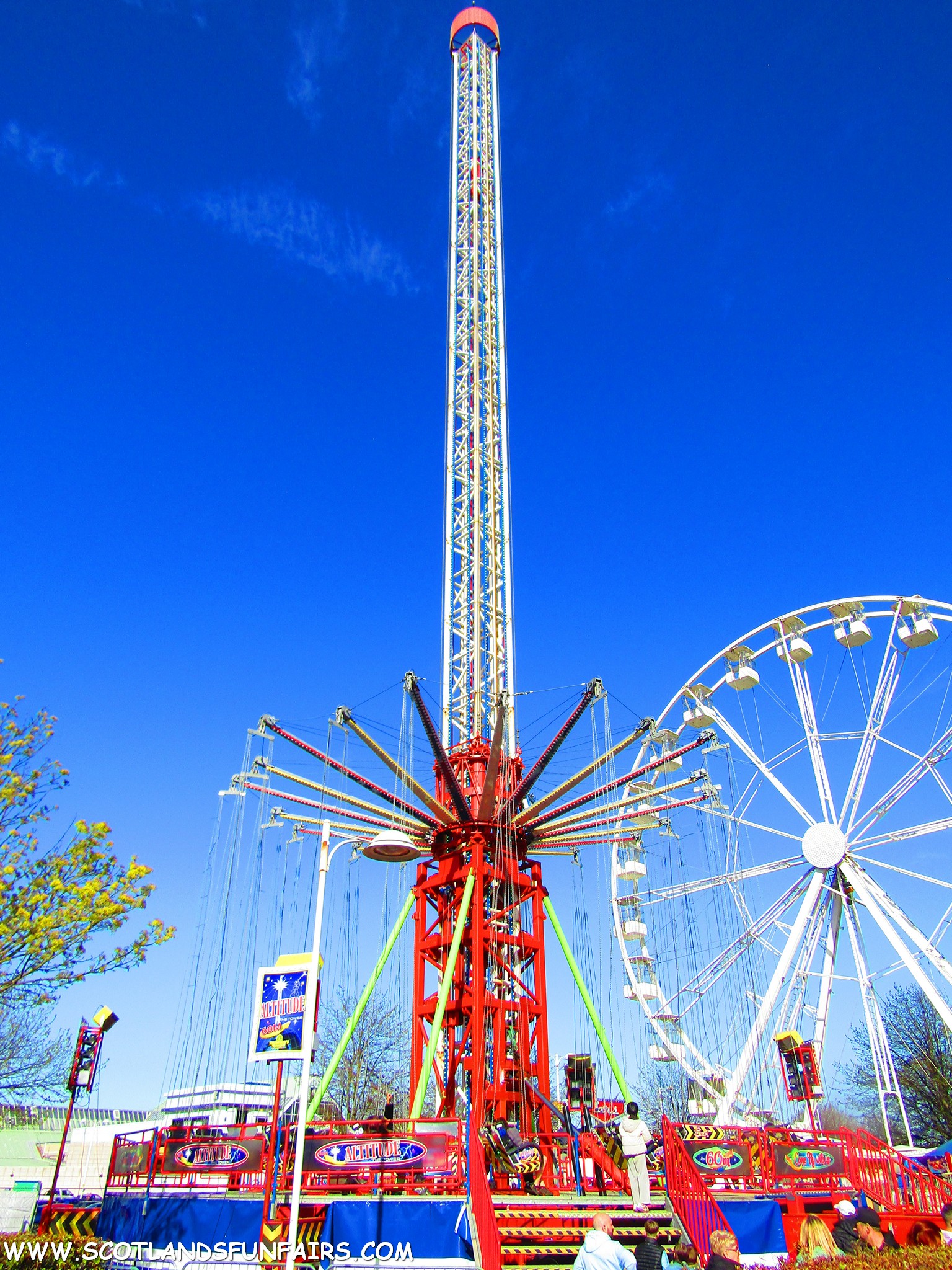 Thomsons Starflyer