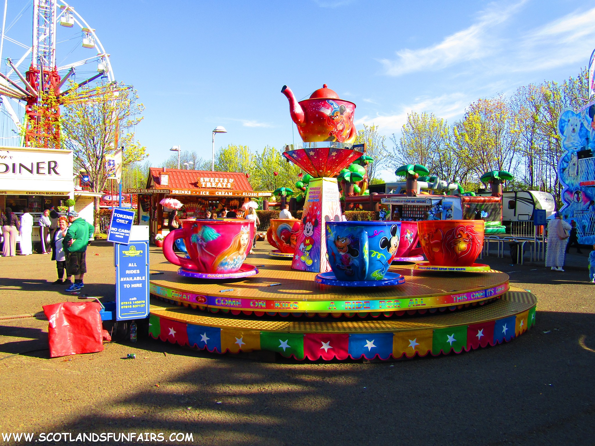 Thomsons Teacups