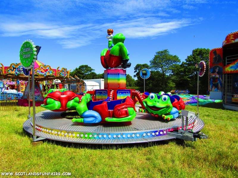 Harrison Hancocks Mini Frogs