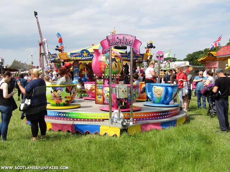 Elliot Crows Teacups