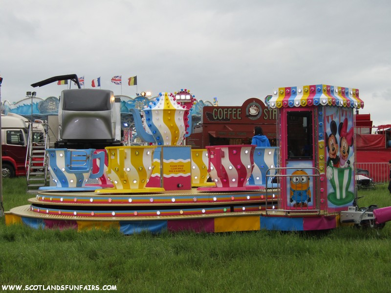 Harrison Hills Teacups