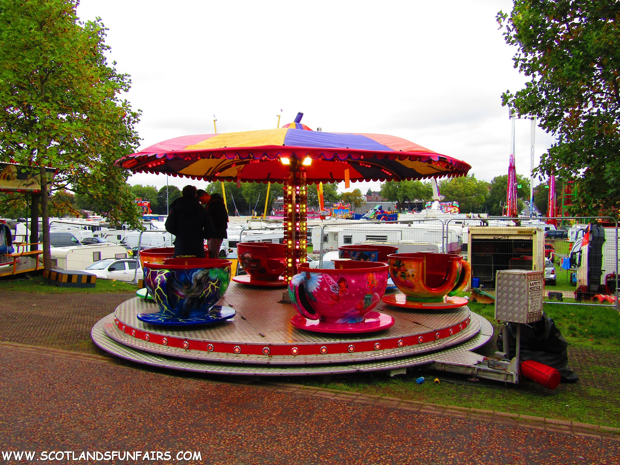 Michael McKeans Teacups