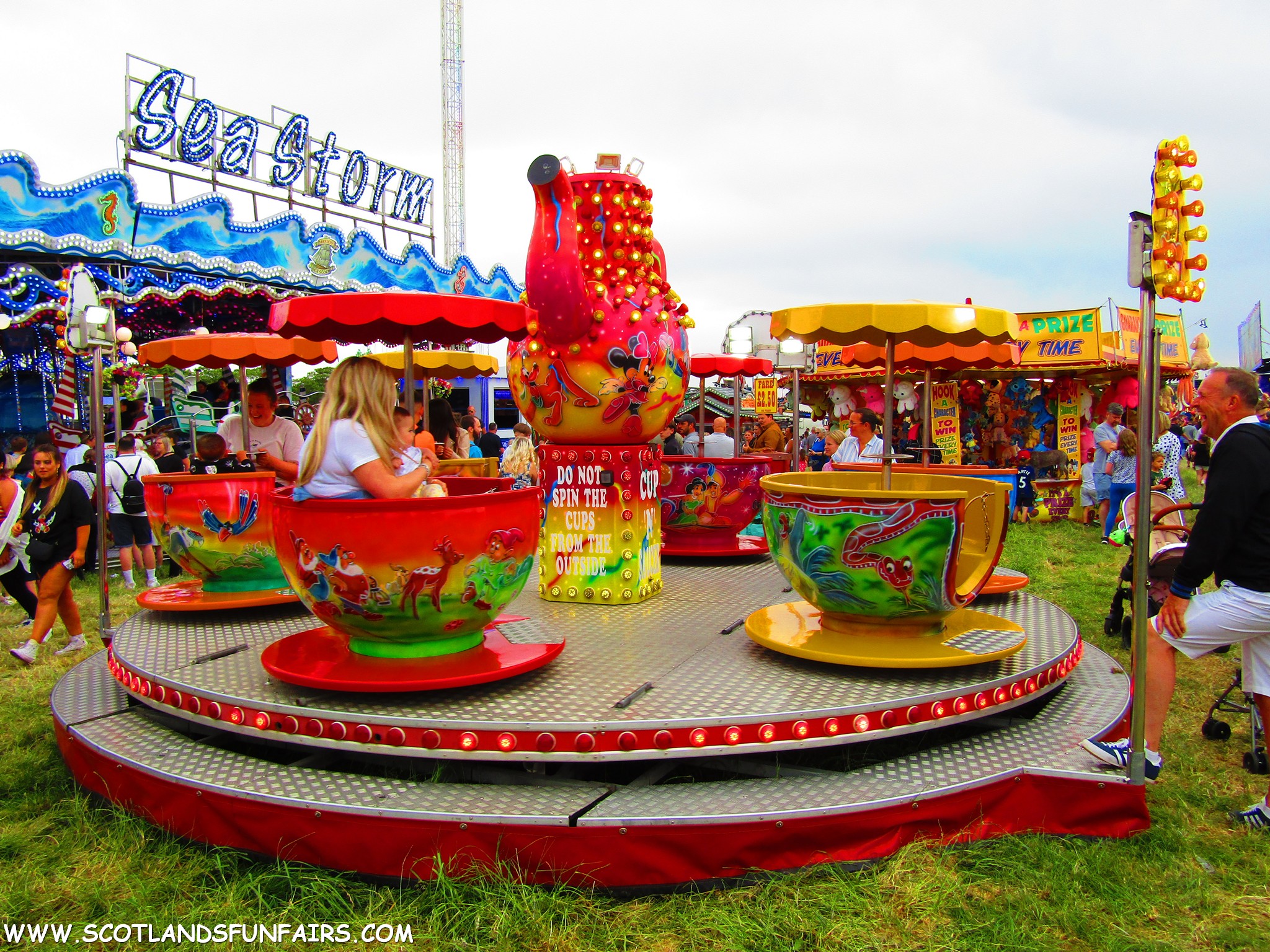 Michael O'Briens Teacups