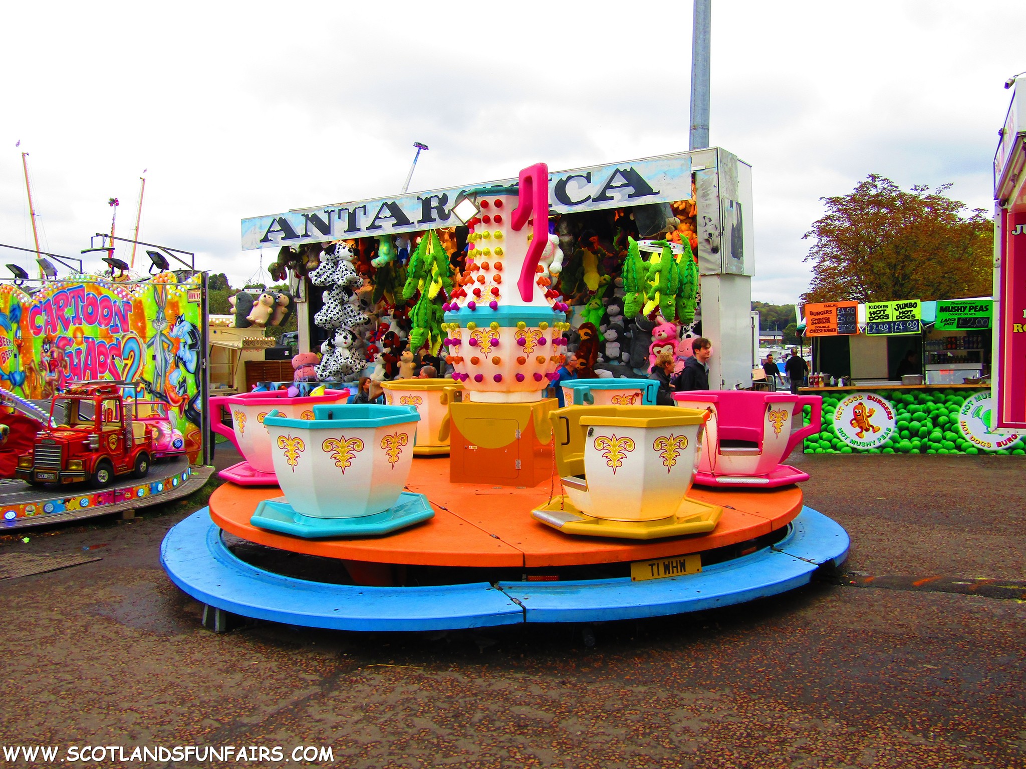 Maisie Woods Teacups