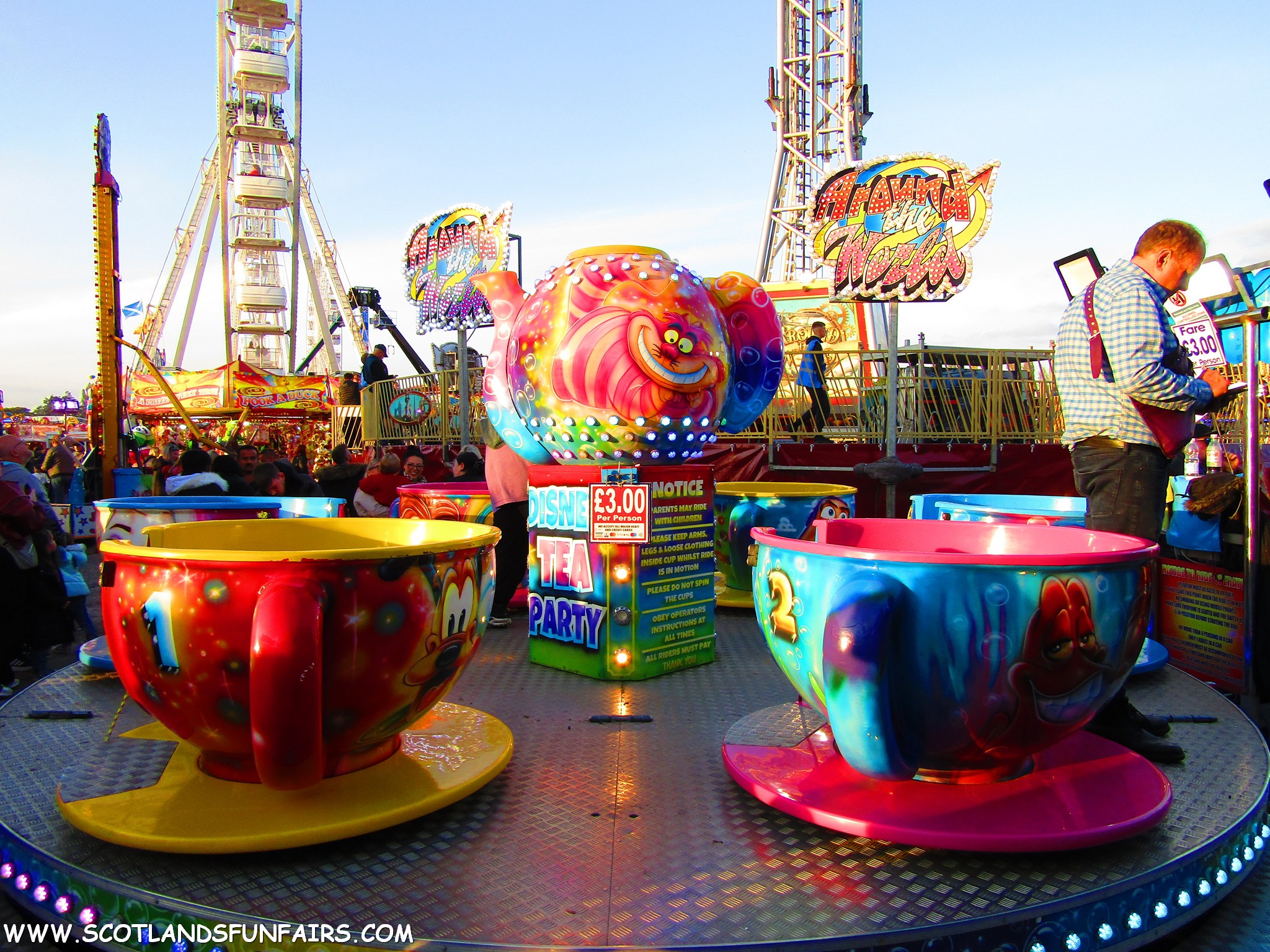 Sherman Wynns Teacups
