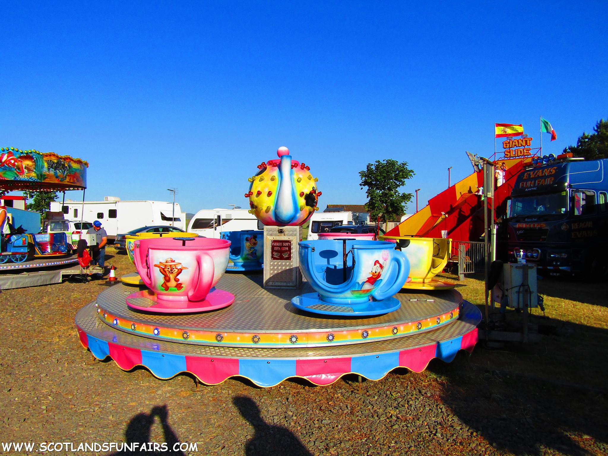 Reagan Evans Teacups